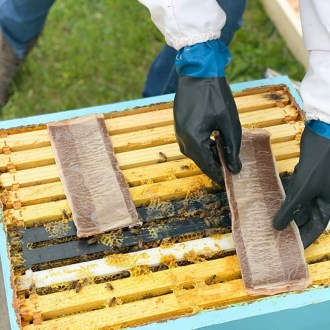 Hangyasav Pro 68,2 g - 2 adag (4 csík)