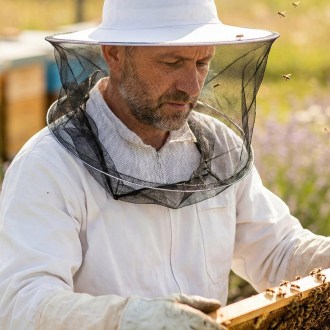 Méhészkalap - normál A