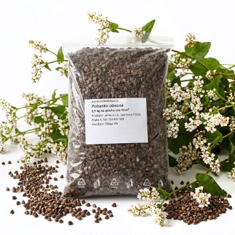 Pohánka (vetőmag / méhlegelő) - 0,5 kg