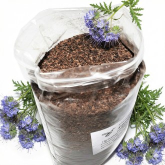 Mézontófű (vetőmag / méhlegelő) - 1 kg