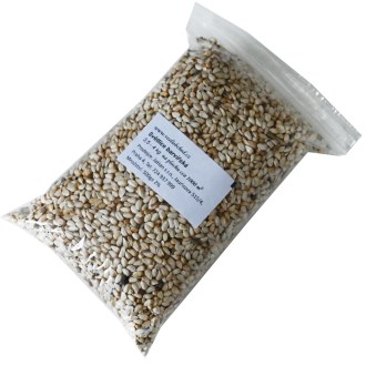 Sáfrányos szeklice (vetőmag / méhlegelő) - 0,5 kg