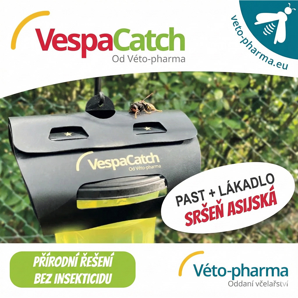 Ázsiai darázsok elleni csapda VespaCatch