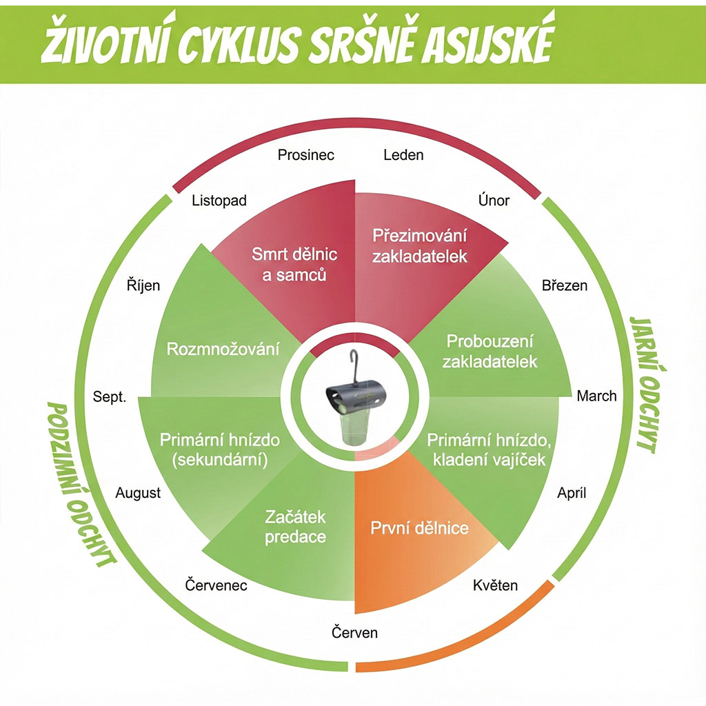 Ázsiai darázsok elleni csapda VespaCatch